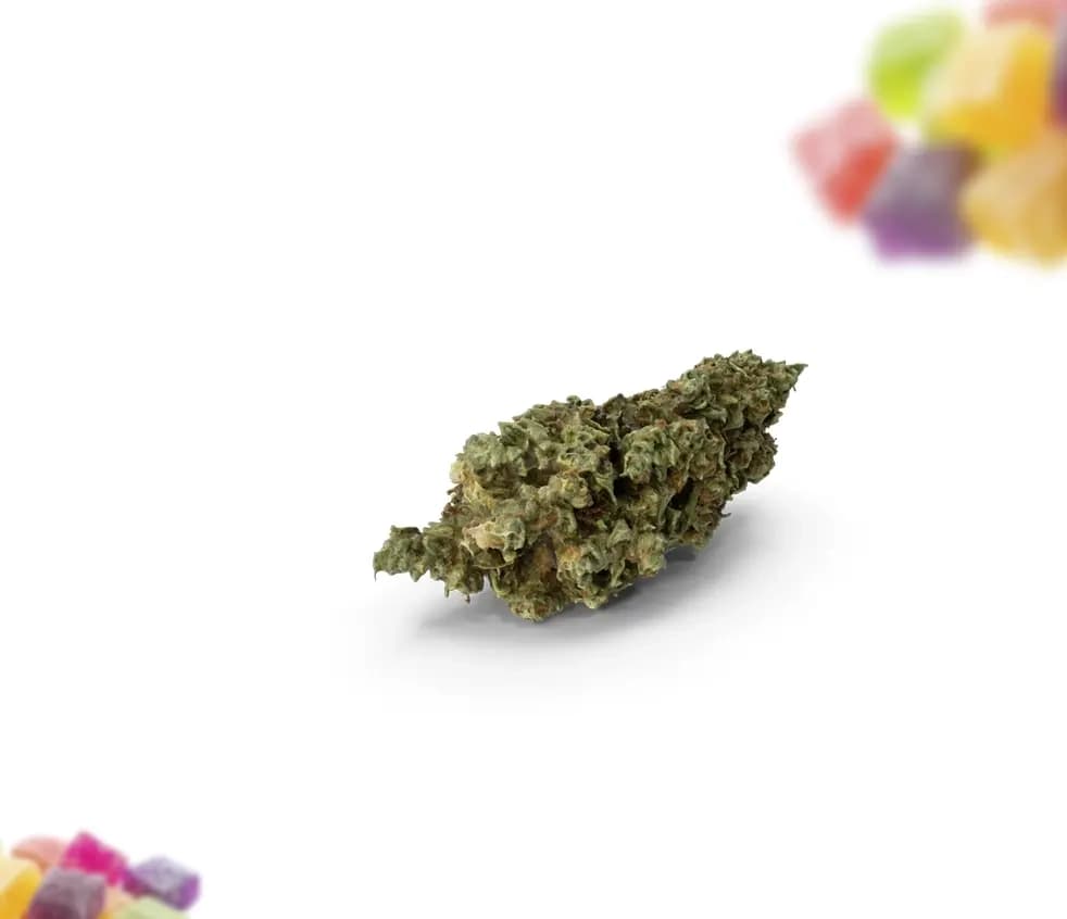 Cannabis Bud - The Clinic Cannabis Co. Cannabis Bud - The Clinic Cannabis Co.